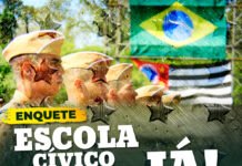 ENQUETE: VOCÊ É A FAVOR DA IMPLANTAÇÃO DE UMA ESCOLA CÍVICO-MILITAR EM SUA CIDADE?