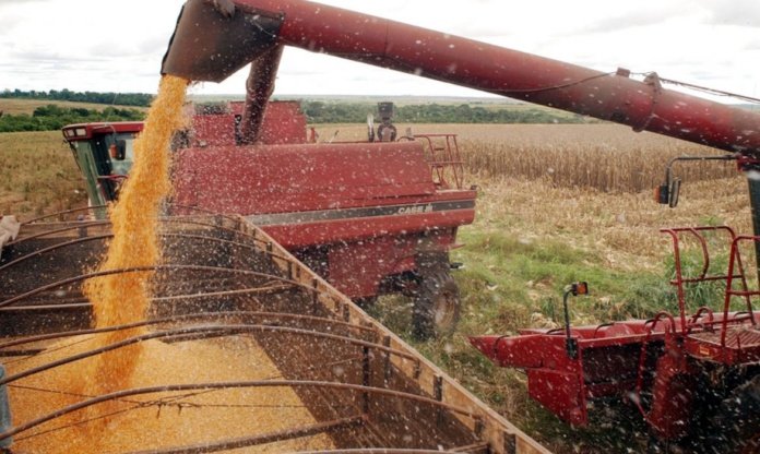 produção agropecuária