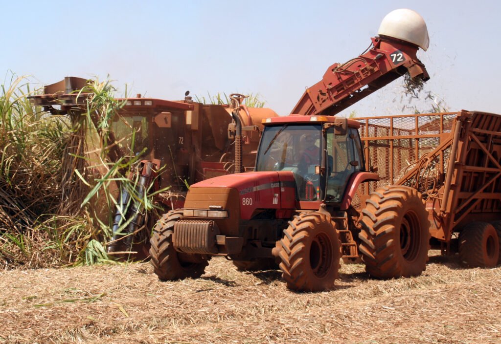 Agricultura agro negócio