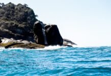 Sistema do Governo de SP antecipa em até 4 dias o risco de ressacas e desastres naturais na costa