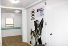 Governo de SP expande rede de atendimento veterinário com pet contêiner em três regiões do estado