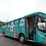 Pro Pet SP avança na região metropolitana de São Paulo com castrações gratuitas em janeiro