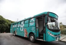 Pro Pet SP avança na região metropolitana de São Paulo com castrações gratuitas em janeiro