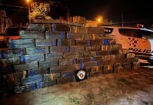 Polícia de SP apreende mais de 600 kg de drogas por dia em SP e prejuízo ao crime chega a R$ 3 bilhões