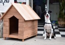 Polícia Penal de SP doa 50 casinhas para cães e gatos em ação do projeto ‘Mãos e Patas’