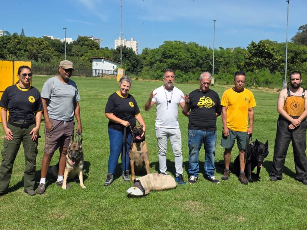 Treinamento de adestramento e sociabilização de cães e tutores