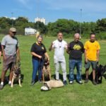 Após ataques, ação oferece treinamento gratuito para cães de grande porte em São José Treinamento de adestramento e sociabilização de cães e tutores