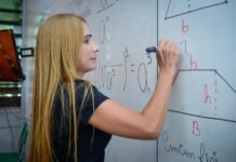 Dia dos Professores: dados revelam perfil dos docentes da rede estadual de SP